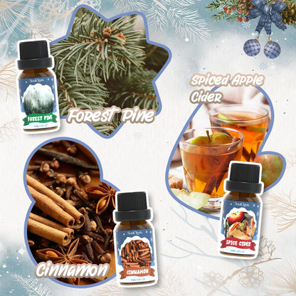 SoulOrigin Winter Essential Oils Set – 6x10ml Fragrance Oils for Diffusers and Gifts