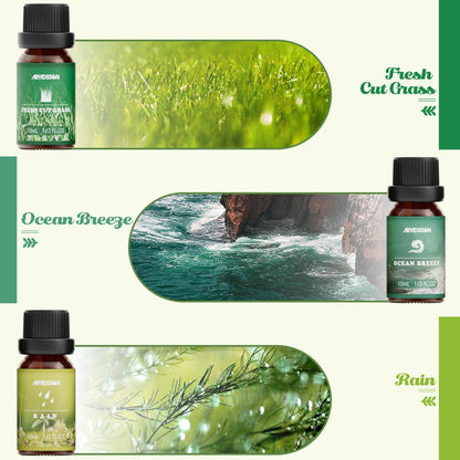 Nature Essential Oils Set | ARVIDSSON Natural Fragrance Oils for Candle Making