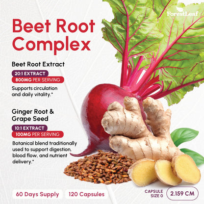 ForestLeaf Organic Beet Root Capsules – 20:1 Beet Extract with Ginger & Grape Seed | 120 Caps