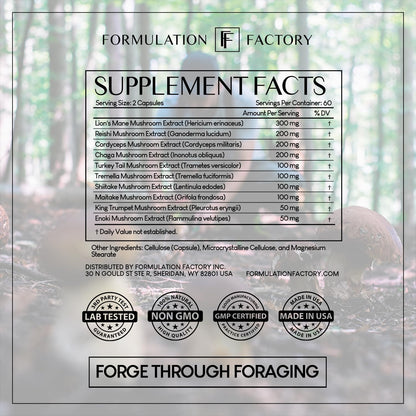 Formulation Factory Shroom Vroom: 10-in-1 Mushroom Supplement with Lion’s Mane & Reishi – 240 Count (Pack of 2)