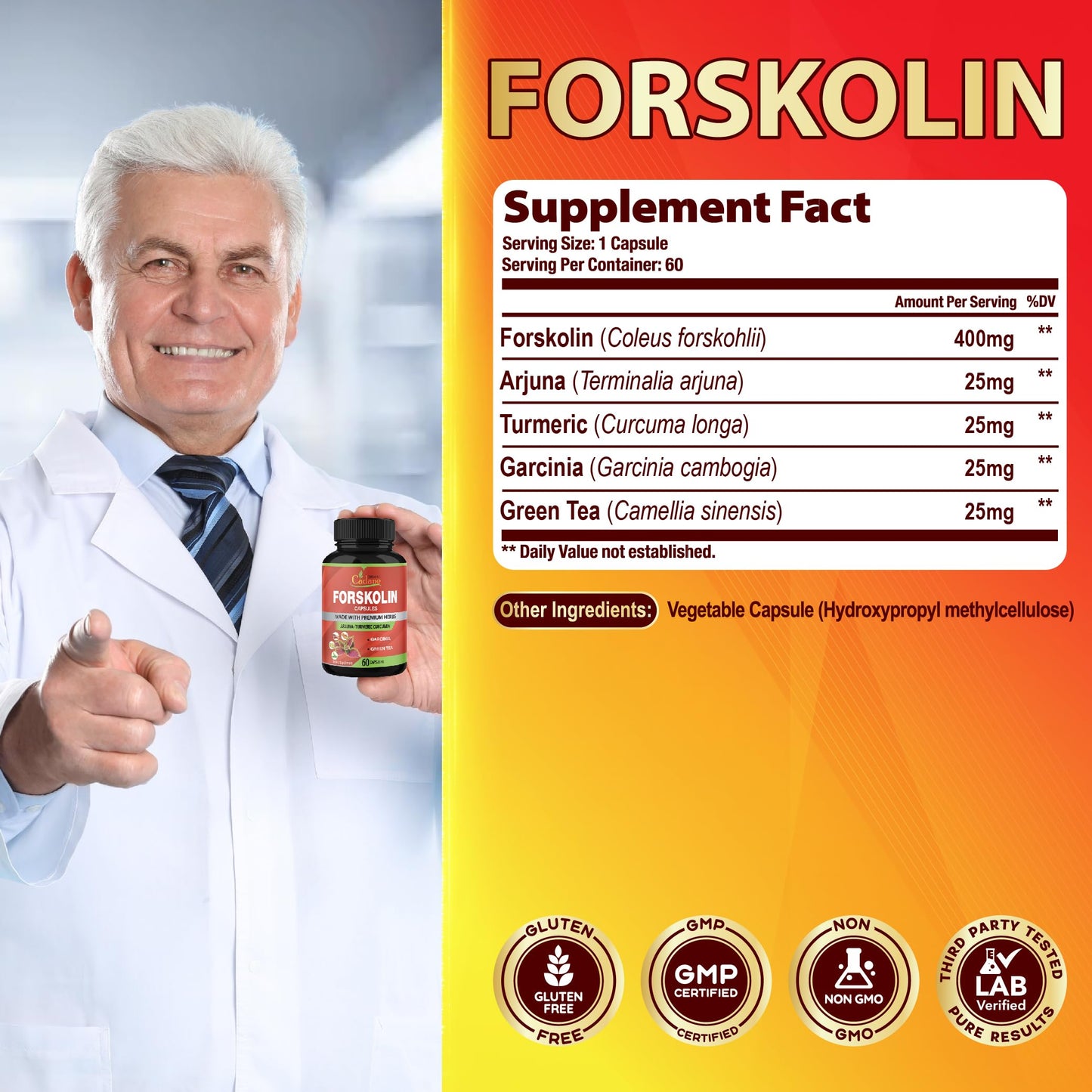 Forskolin Supplements Capsules with Turmeric Curcumin, Arjuna, Garcinia Cambogia, Green Tea – 60 Capsules