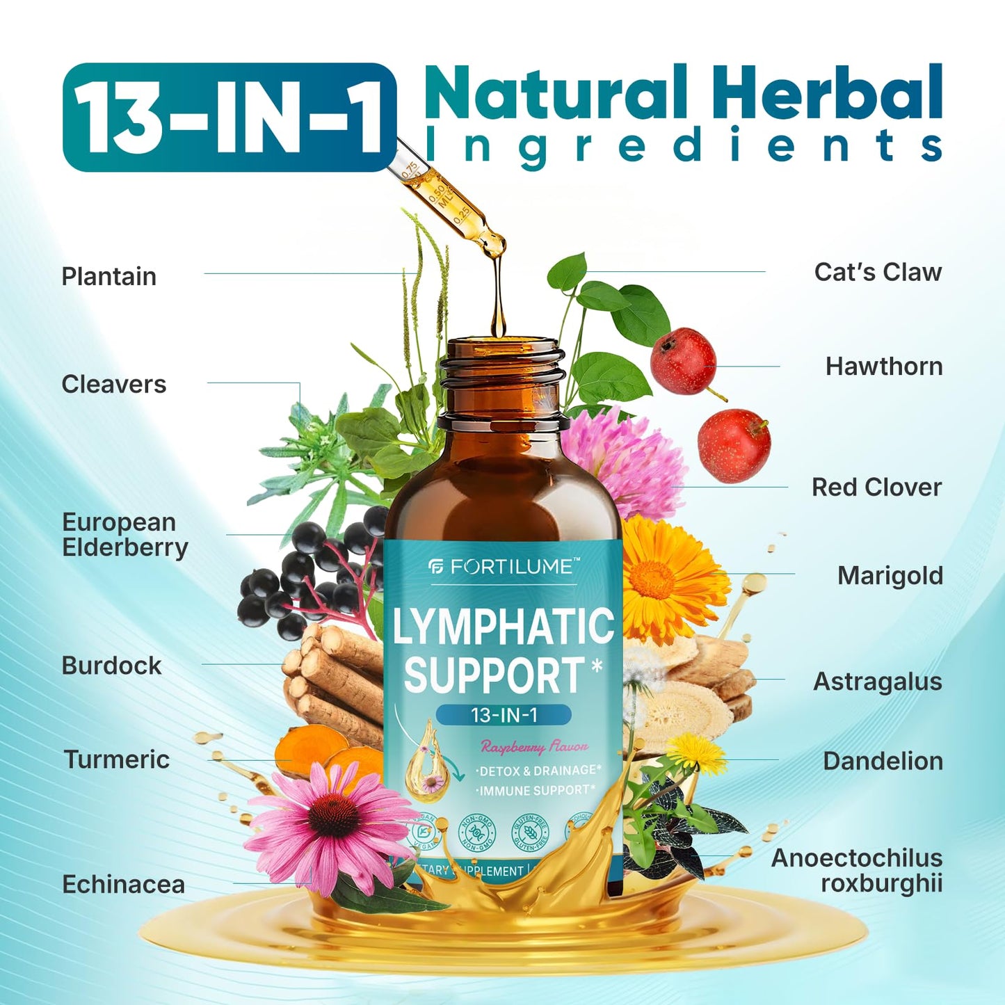 FORTILUME Lymphatic Drainage Drops - 13-in-1 Lymphatic & Immune Support, Elderberry & Echinacea, Raspberry Flavor, 2 fl oz (30 Servings)