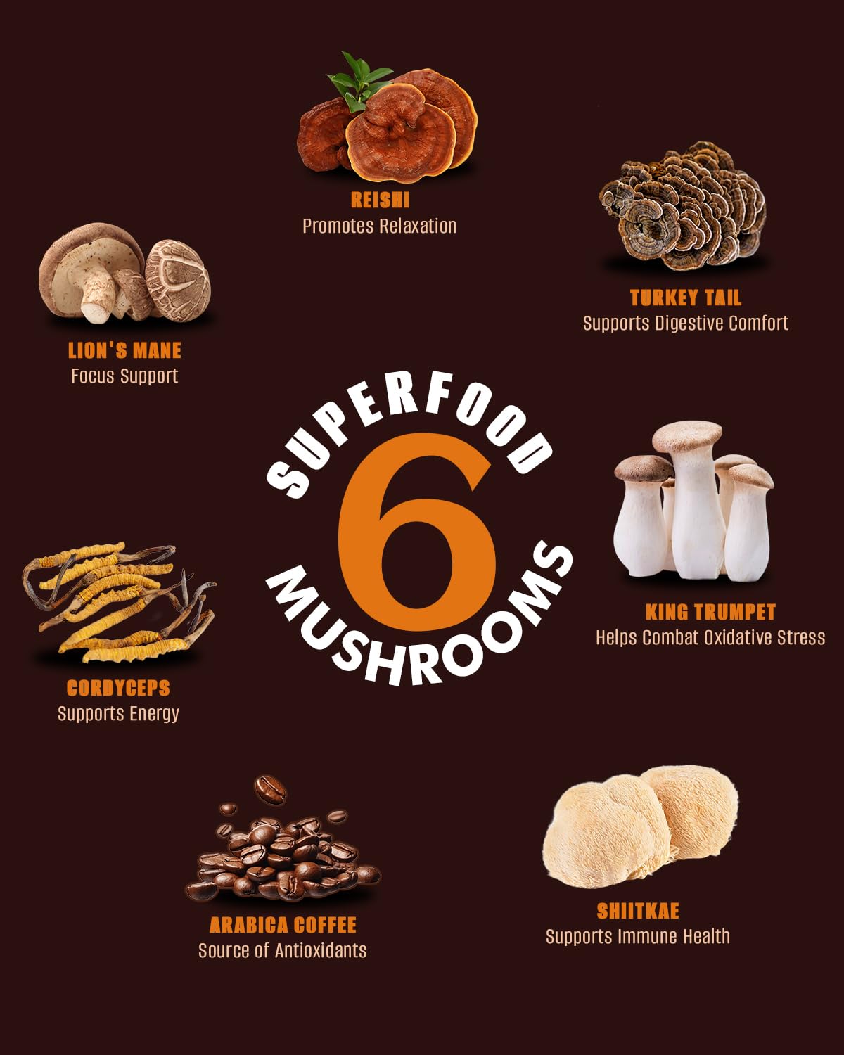 FORTISCA Mushroom Coffee (7.41oz / 210g) – 6-in-1 Instant Coffee with Lion's Mane, Cordyceps, Reishi, Shiitake, Turkey Tail & King Trumpet for Energy, Focus & Immune Support
