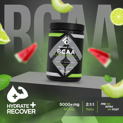 Fossil Fuel Sugar-Free BCAA Powder – Post-Workout Recovery (30 Servings) | Honeydew Watermelon