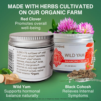 Four Elements 4E Wild Yam Balancing Cream 2 OZ — Award-Winning USA Made