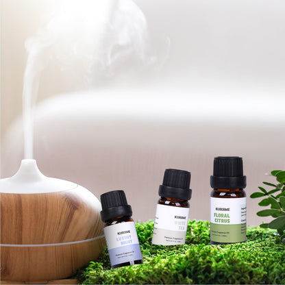 Fragrance Oils Hotel Collection Diffuser Oil Set – Luxury Night, Jasmine & Mint, Lemon & Thyme, White Tea, Floral Citrus, My Way