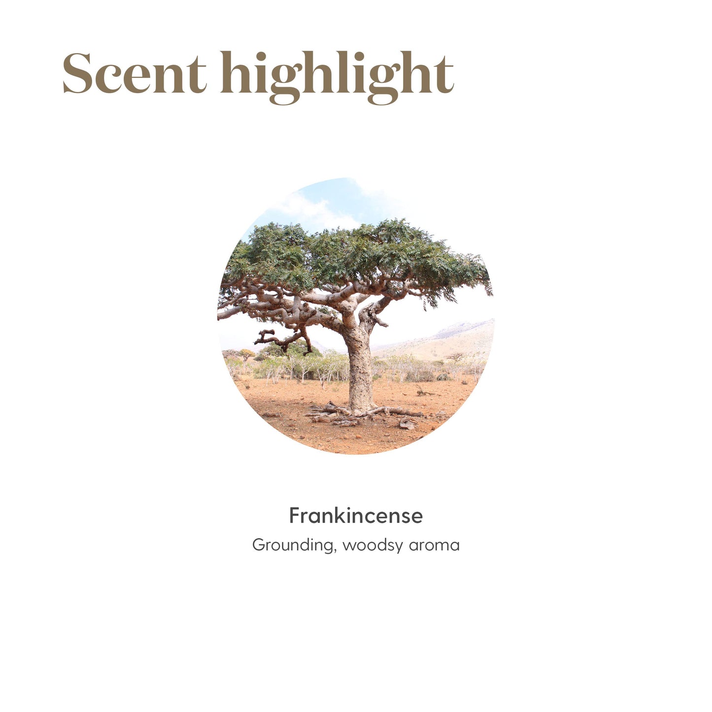 Young Living Frankincense Essential Oil 5 ml | Pure, Diffuser & Skin Care