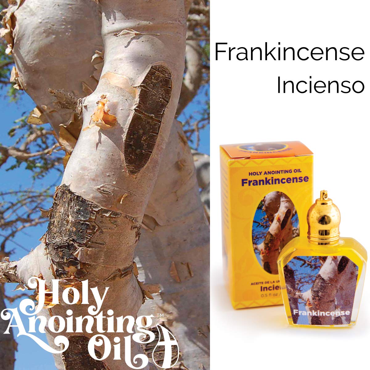 Frankincense Holy Land Anointing Oil from Jerusalem – 1/2 oz Roller Bottle