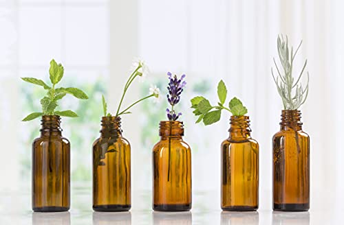 Frankincense & Myrrh Essential Oil – 100% Pure Grade | Nature's Note Organics