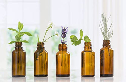 Frankincense & Myrrh Essential Oil – 100% Pure Grade | Nature's Note Organics