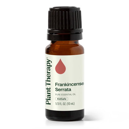 Plant Therapy Frankincense Serrata Essential Oil – 100% Pure, 10 mL