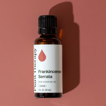 Plant Therapy Frankincense Serrata Essential Oil – 100% Pure, Therapeutic Grade 30 mL (1 oz)