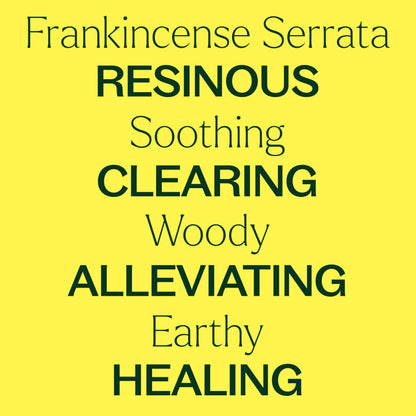 Plant Therapy Frankincense Serrata Essential Oil – 100% Pure, Therapeutic Grade 30 mL (1 oz)