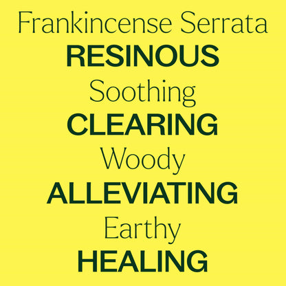 Plant Therapy Frankincense Serrata Essential Oil – 100% Pure, 10 mL