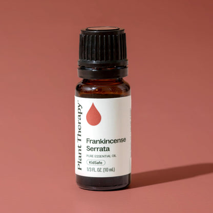 Plant Therapy Frankincense Serrata Essential Oil – 100% Pure, 10 mL
