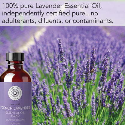 Pure Body Naturals French Lavender Essential Oil Blend - 4 oz | Aromatherapy, Soap Making & DIY Skincare