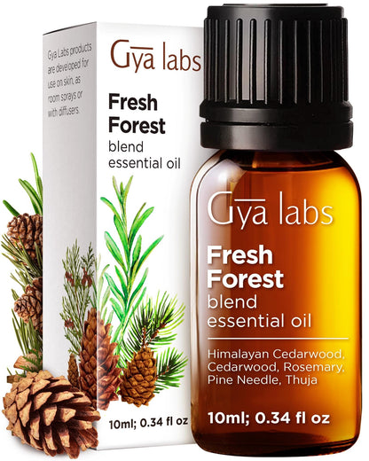 Gya Labs Fresh Forest Essential Oil Blend for Diffuser – 0.34 Fl Oz