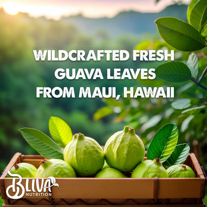 BLIVA Guava Leaf Extract Capsules – 1000 mg (10:1) – 90 Vegetarian Capsules