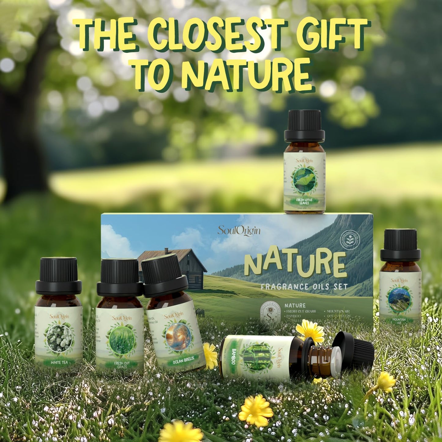 Soulorigin Nature Fragrance Oils Set – Essential Oil Gift for Diffusers & Candle Making
