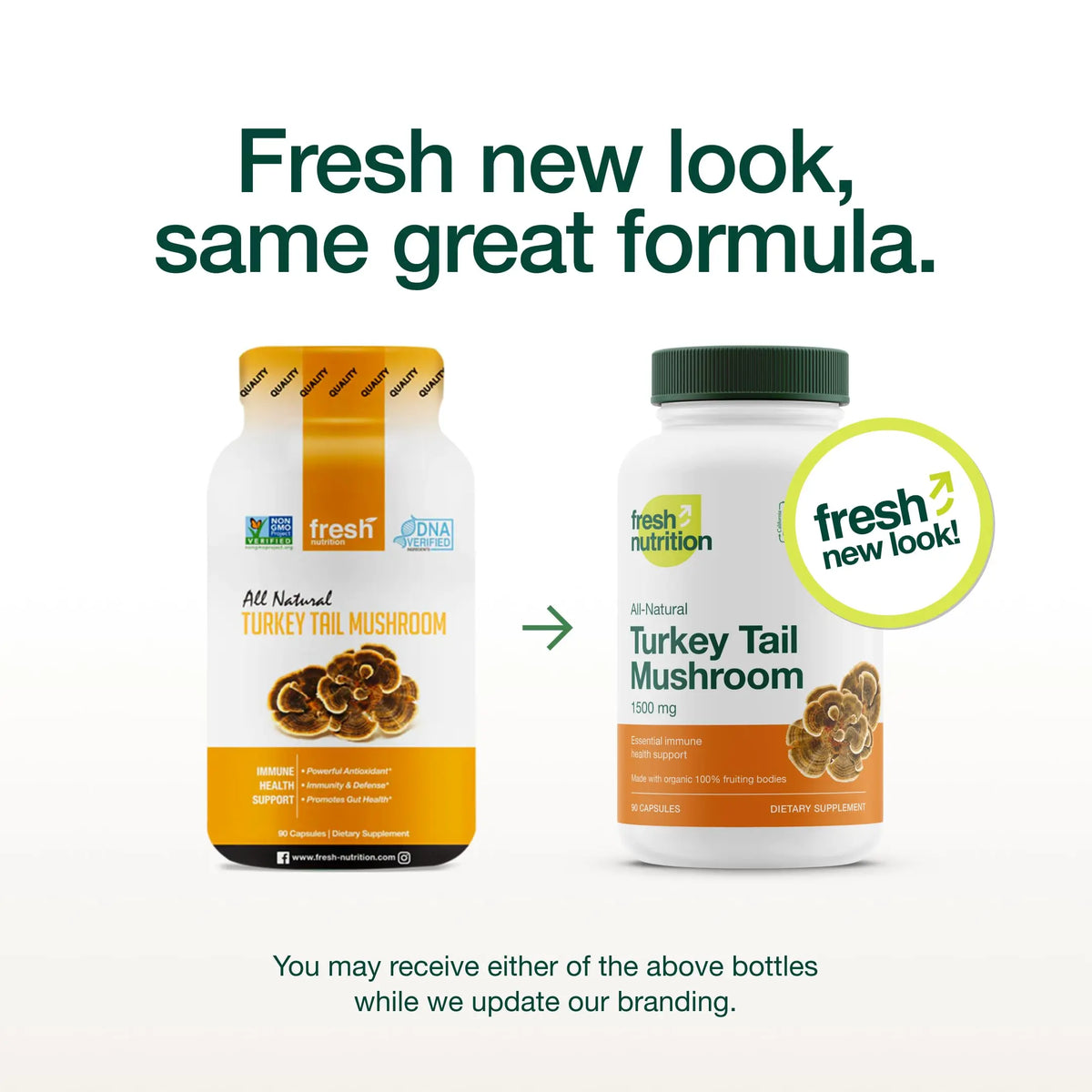 Fresh Nutrition Organic Turkey Tail Mushroom Extract – High Beta Glucans, 2-Pack, 180 Vegan Capsules BritishVita | Premium UK Vitamins & Wellness Supplements