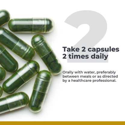 Premier Research Labs Medi Chlorella-FX – Chlorella & Chlorophyll Capsules (120 Vegetarian Capsules)