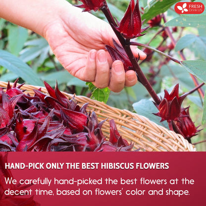 FRESHDRINKUS Premium 30 Hibiscus Flower Tea Bags – 100% Natural & Pure