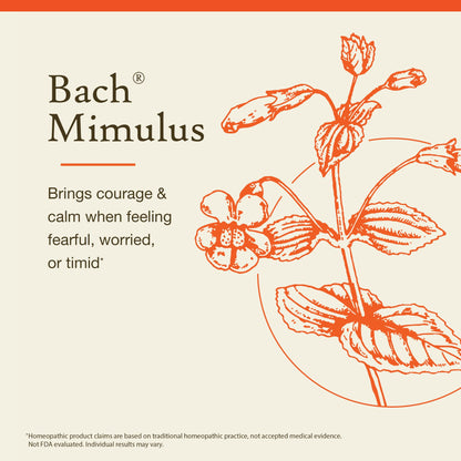 Bach Mimulus – Face Your Fears (20mL Dropper) | Original Flower Remedies