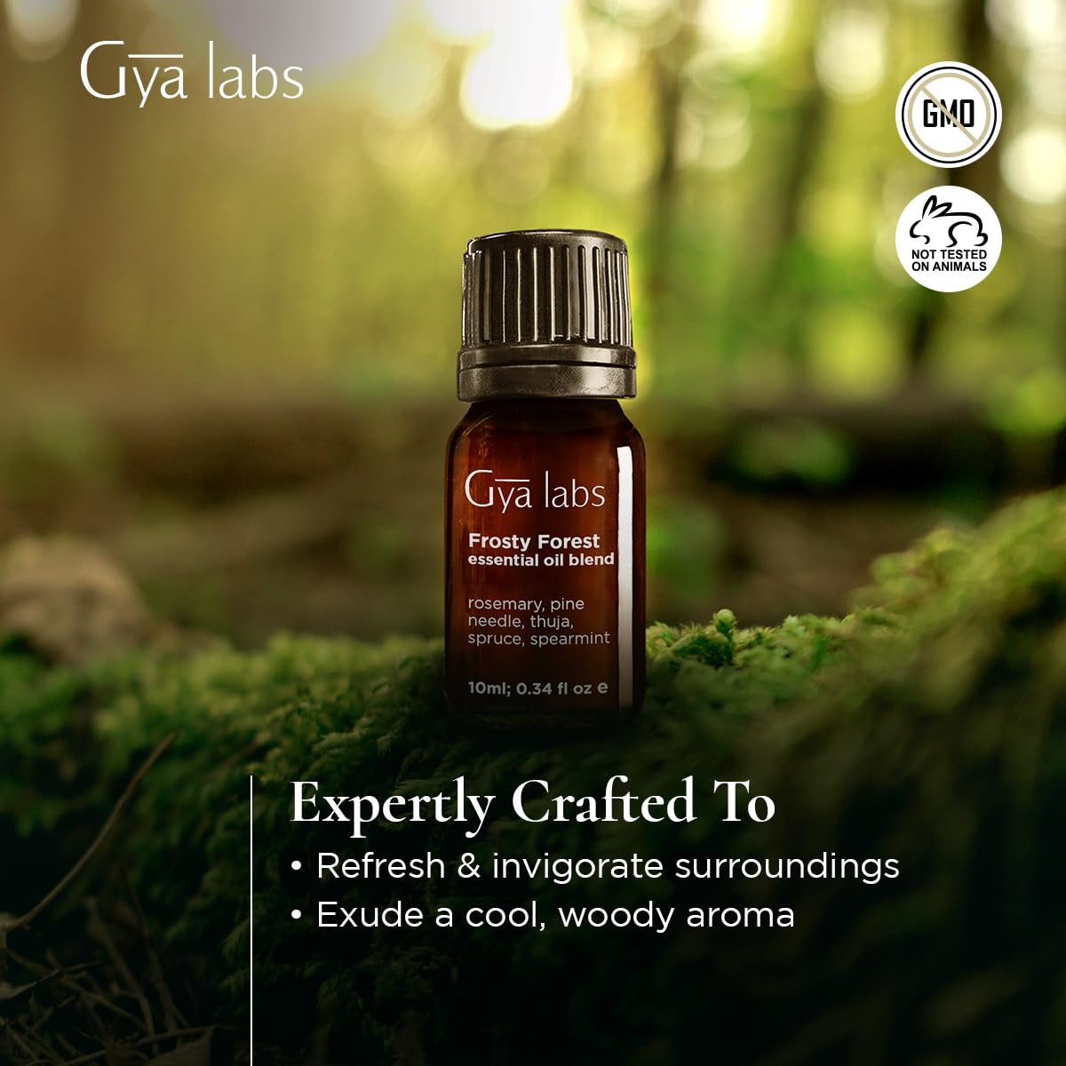 Gya Labs Frosty Forest Essential Oil Blend - Revitalizing & Invigorating (0.34 Fl Oz)