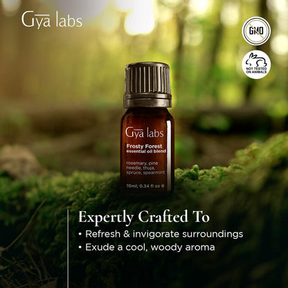 Gya Labs Frosty Forest Essential Oil Blend - Revitalizing & Invigorating (0.34 Fl Oz)