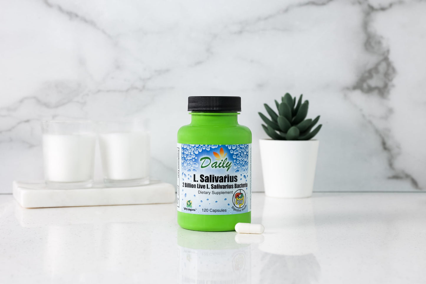 Daily Manufacturing L-Salivarius Probiotic — 2 Billion CFU, Delayed-Release, 120 Capsules