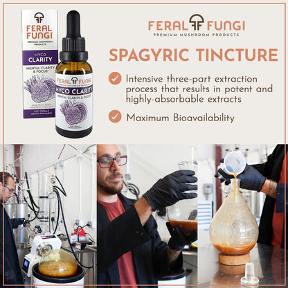 Feral Fungi Myco-Clarity Tincture - 100% Pure Mushroom Extract | USA-Grown 1 oz