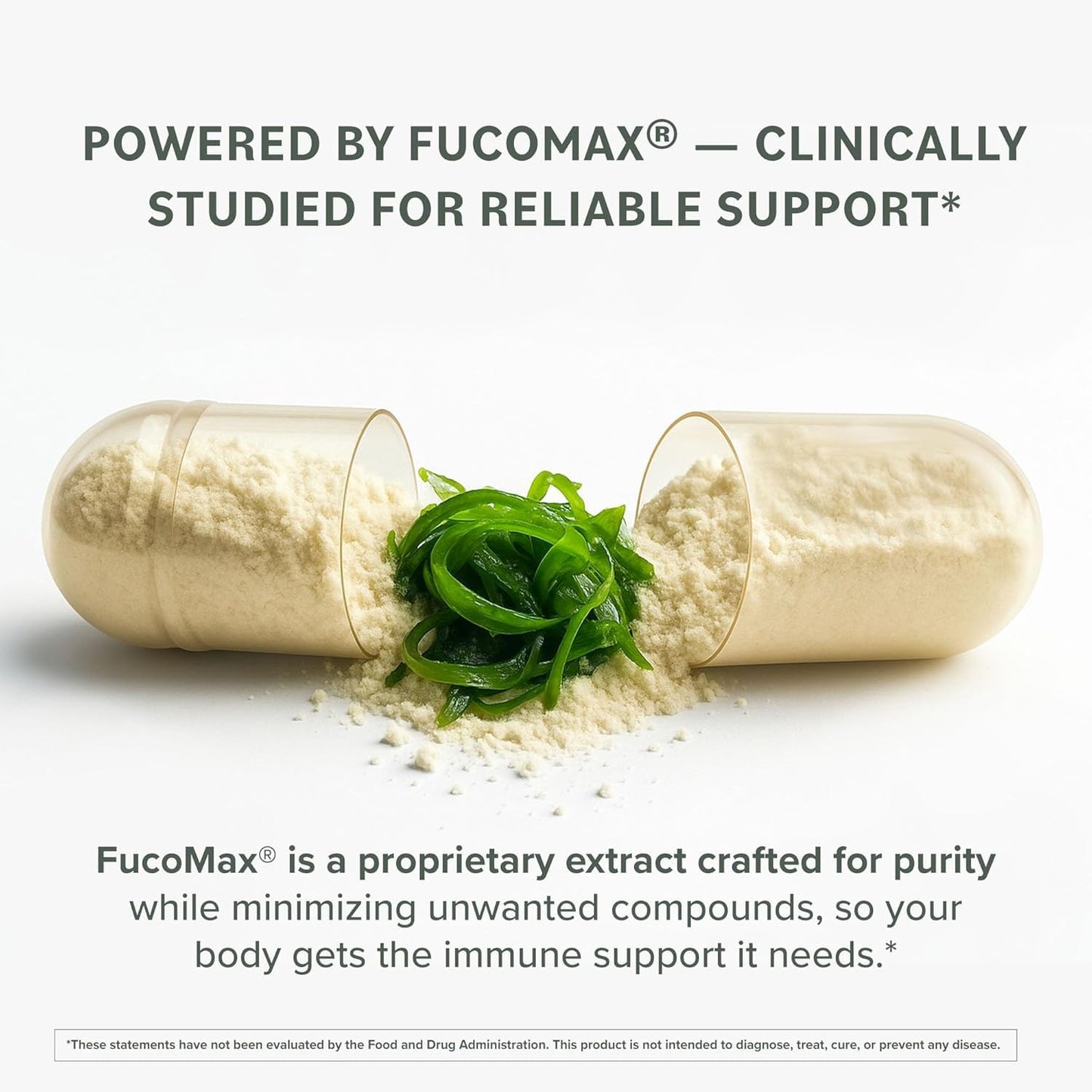 Prominent Nutrition Fucoidan Gut Health & Immune Support Supplement – 250mg, 60 Count – Premium Brown Seaweed Extract – 2 Pack
