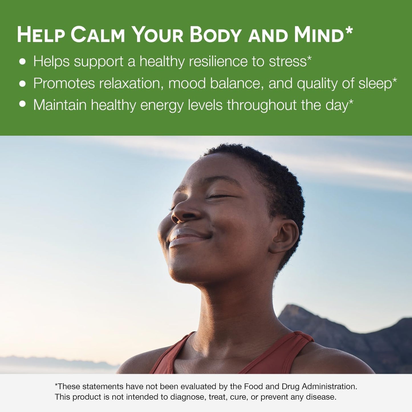 EZ Melts Dissolvable KSM-66 Ashwagandha 300 mg – Sugar-Free Stress, Sleep & Mood Support | Peppermint Chill Flavor, 30-Day Supply