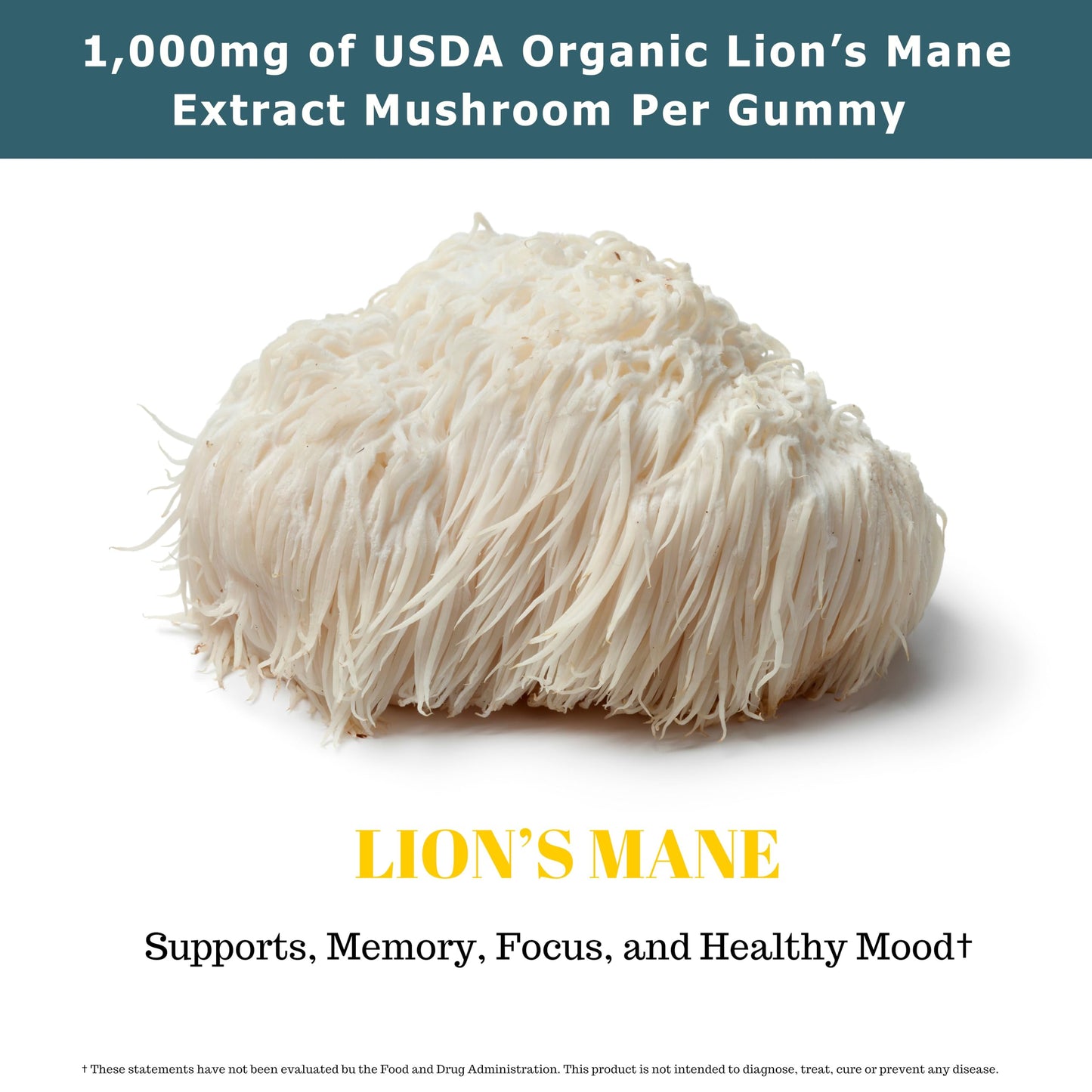 Fundamental Fungi Lion's Mane Gummies – 90 Servings | Brain Health & Focus