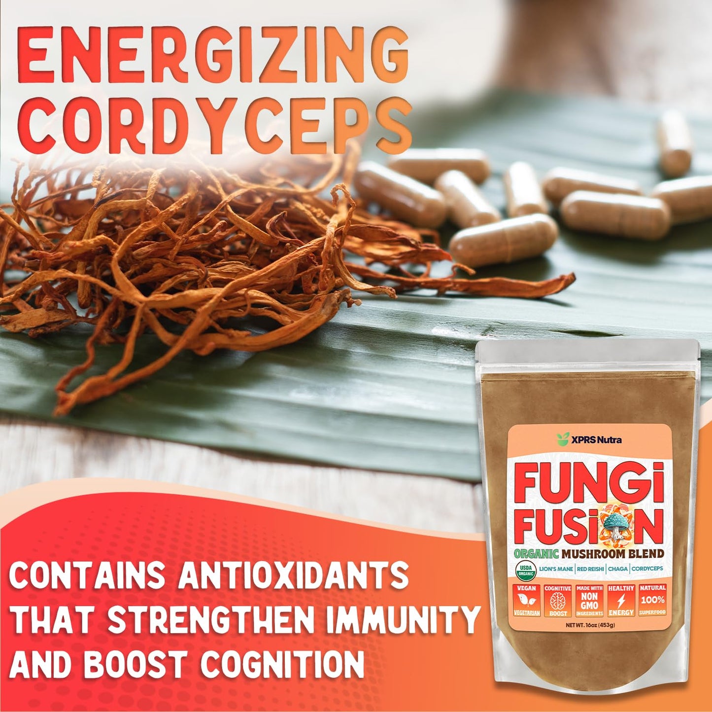 Fungi Fusion Organic Mushroom Powder Blend - Lion's Mane, Red Reishi, Chaga, Cordyceps (8 oz)