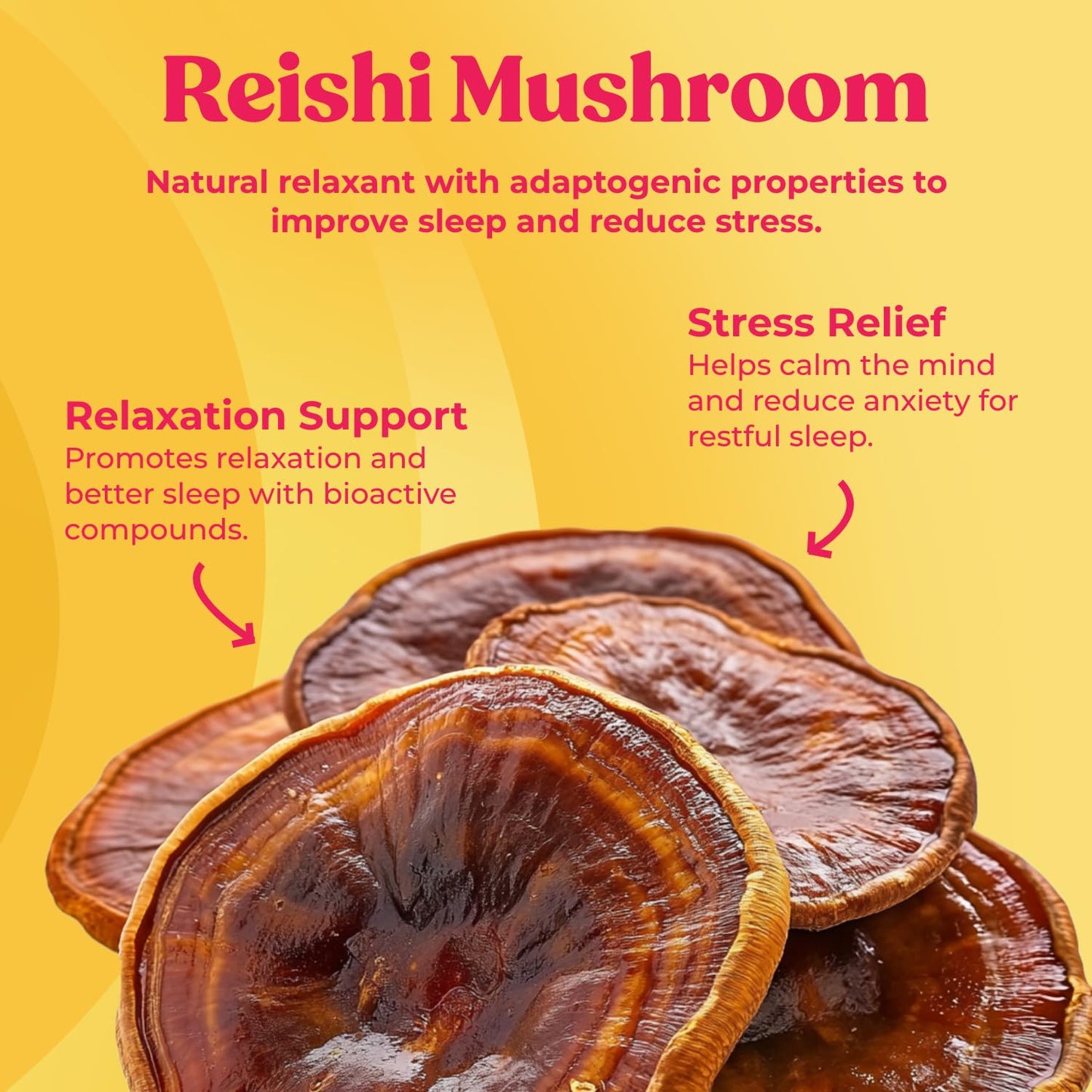 Fungiments Super Chill – Relax & Sleep with Reishi & Ashwagandha
