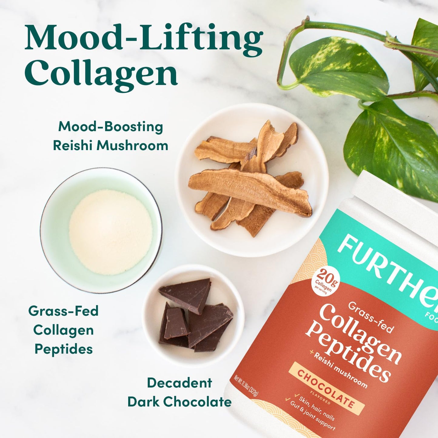 Further Food Chocolate Collagen Peptides Powder – Grass-Fed, 11.36 oz | Gut Health, Joints, Skin, Hair, Nails
