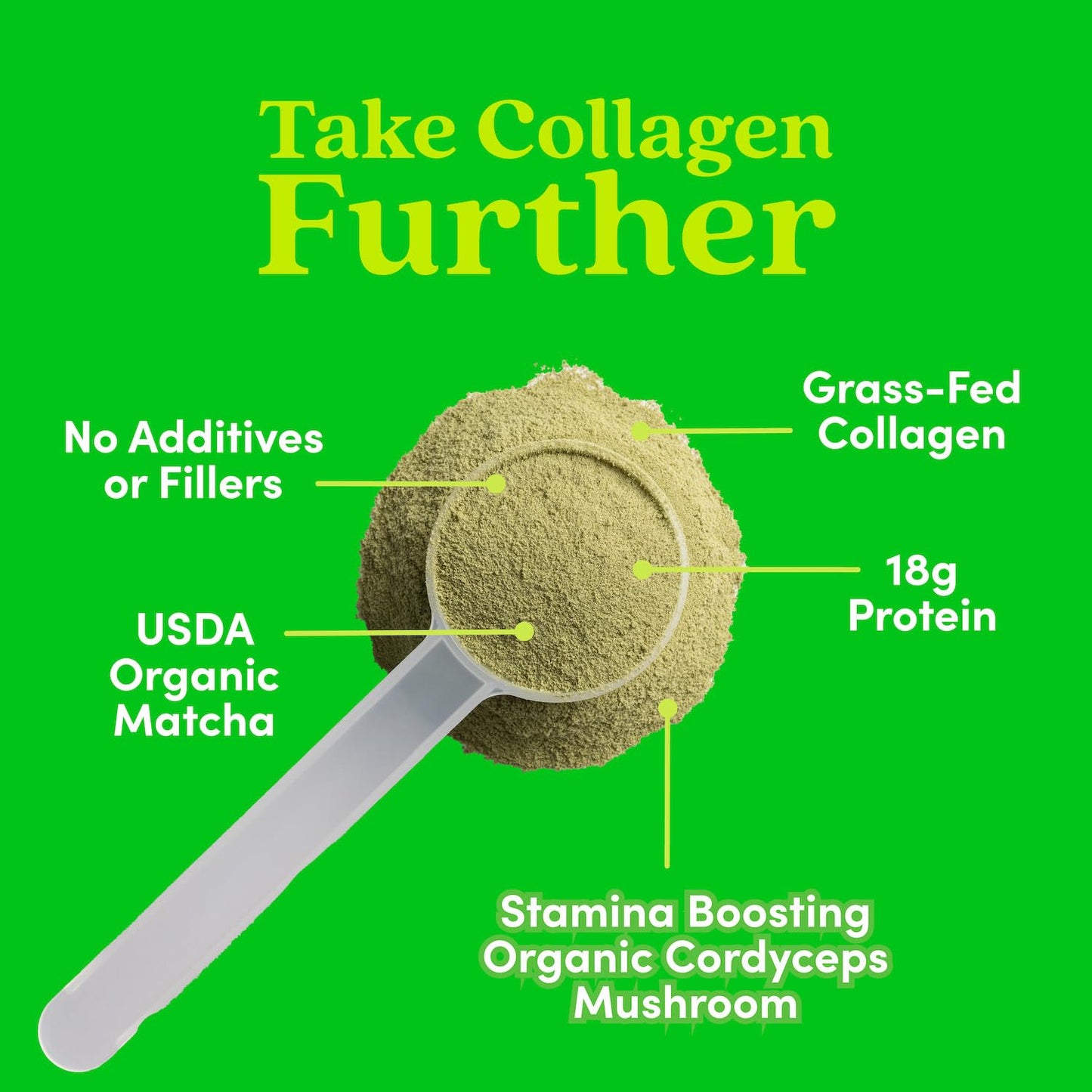 Further Food Matcha Collagen Peptides Powder – Organic Matcha & Cordyceps, 10.62 oz