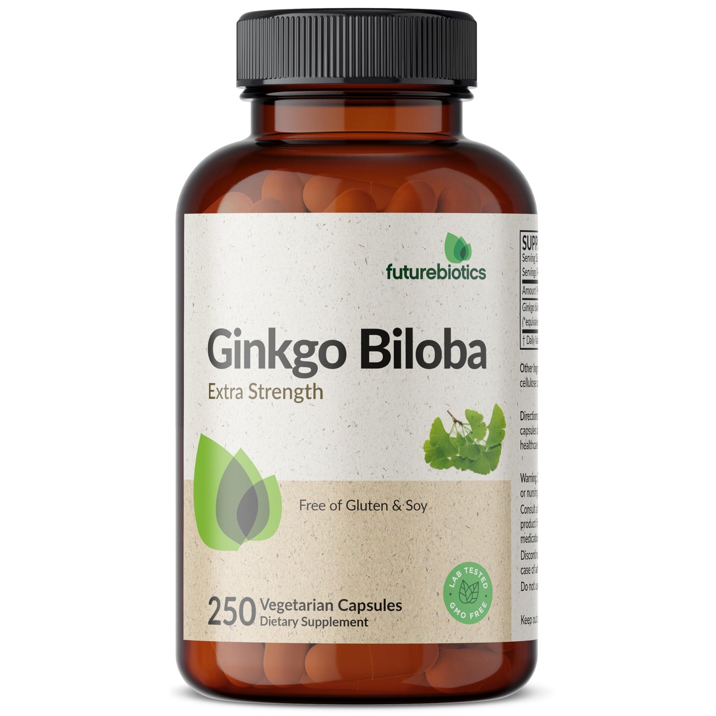 Futurebiotics Ginkgo Biloba Extra Strength Supports Brain Function & Memory Support, 250 Vegetarian Capsules