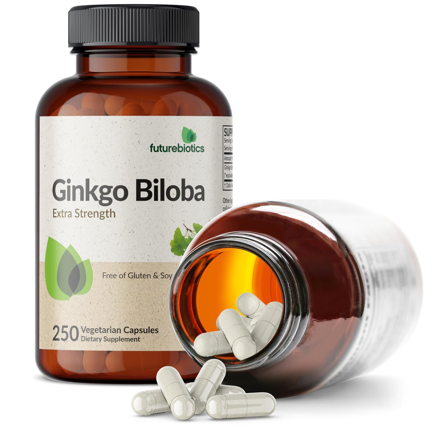 Futurebiotics Ginkgo Biloba Extra Strength Supports Brain Function & Memory Support, 250 Vegetarian Capsules