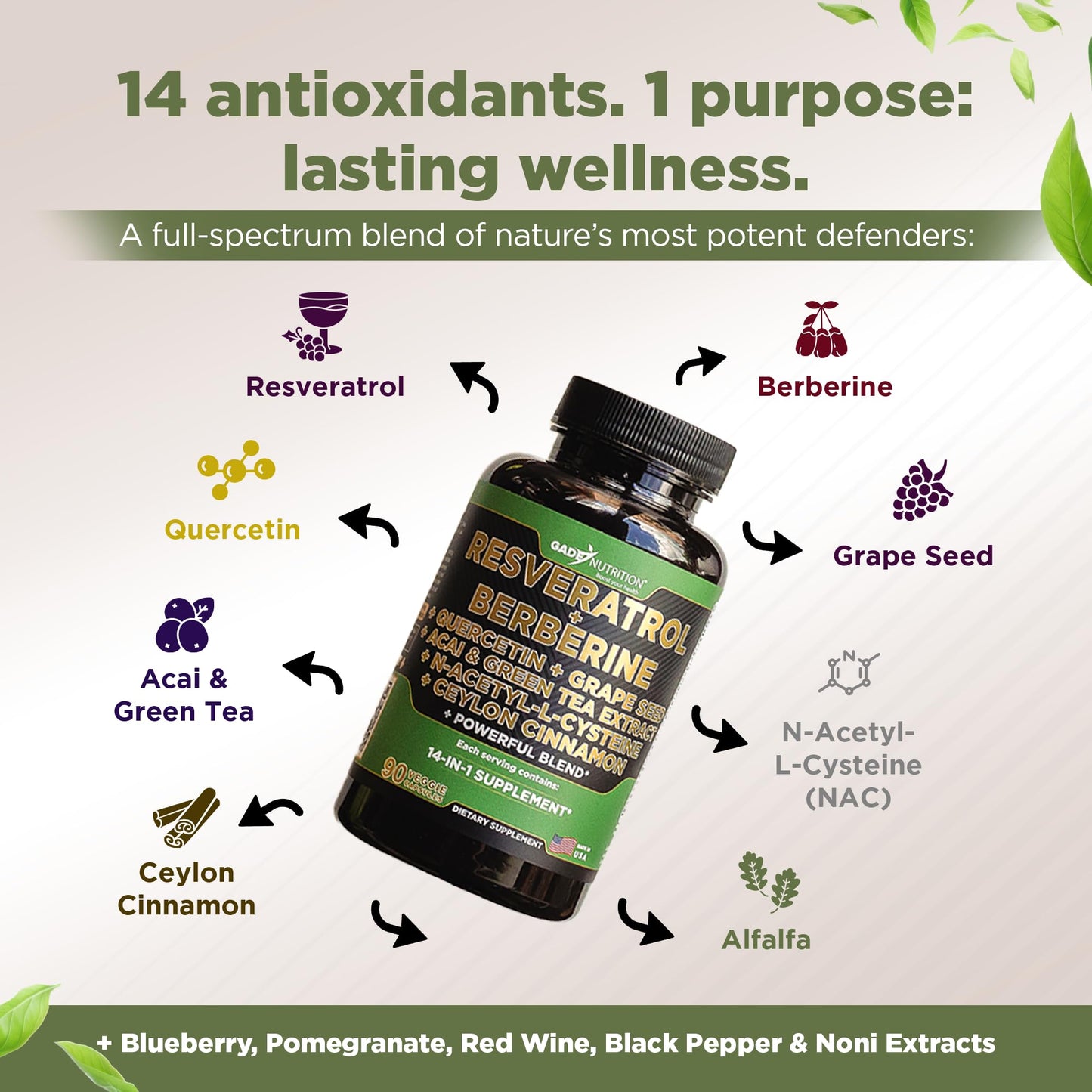 Gade Nutrition 14 in 1 Antioxidant Complex - Resveratrol, Berberine, Quercetin, Grape Seed, Green Tea, NAC, Cinnamon - Made in USA