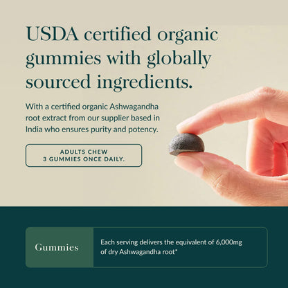 Gaia Herbs Organic Ashwagandha Gummies - Stress Support* | Cinnamon & Ginger - Gluten Free & Vegan - 45 Count