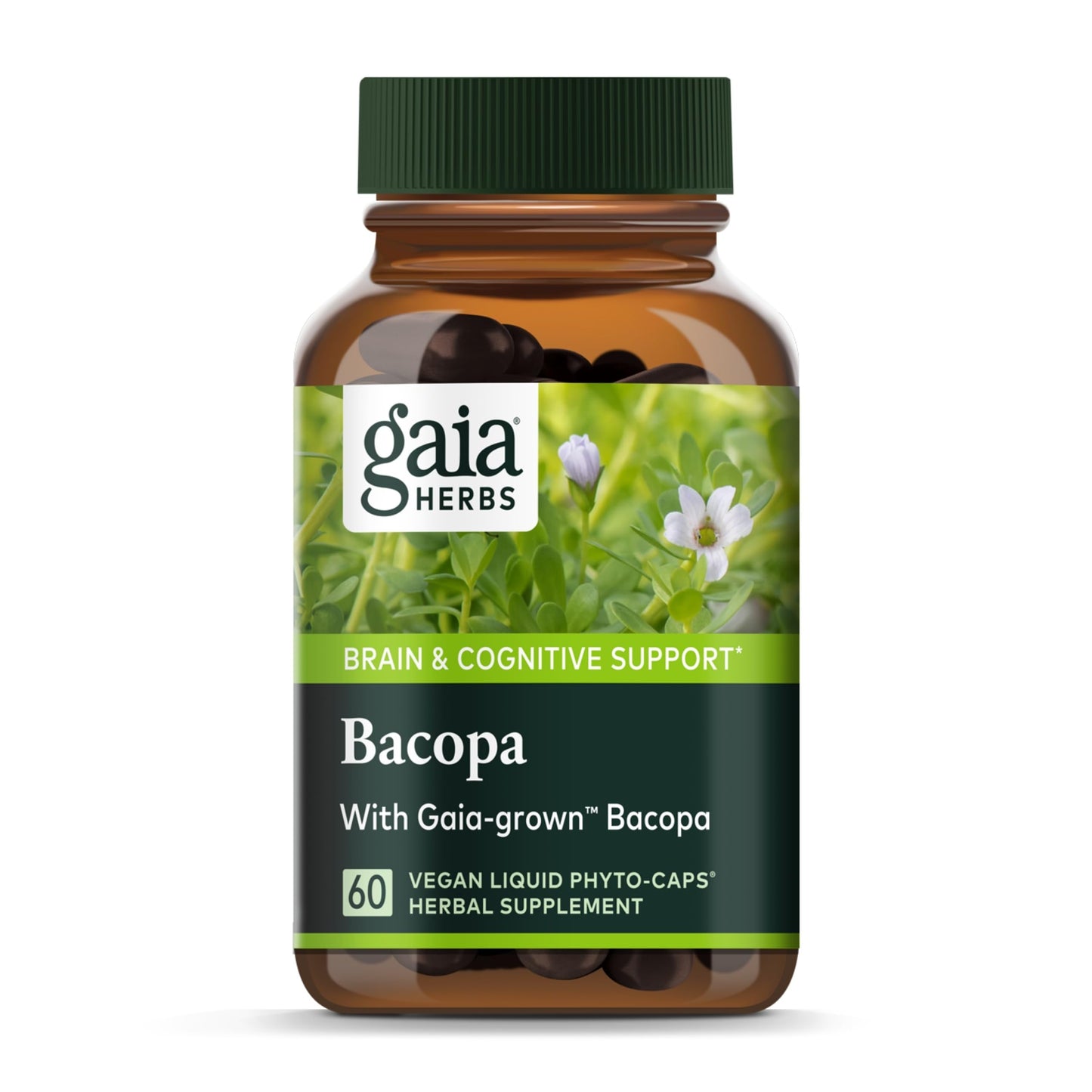 Gaia Herbs Bacopa - Brain & Cognitive Support (60 Vegan Liquid Phyto-Capsules)