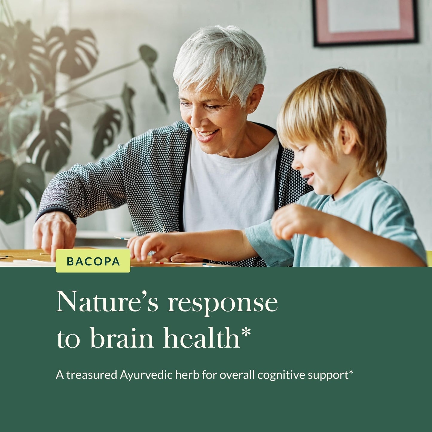 Gaia Herbs Bacopa - Brain & Cognitive Support (60 Vegan Liquid Phyto-Capsules)