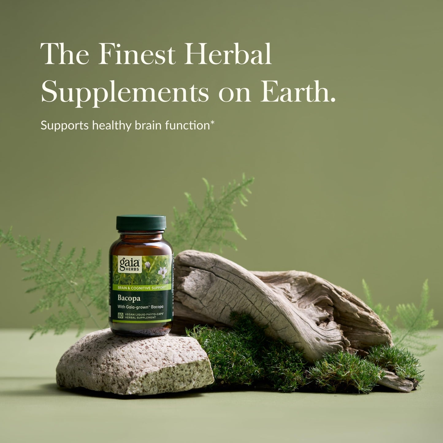 Gaia Herbs Bacopa - Brain & Cognitive Support (60 Vegan Liquid Phyto-Capsules)
