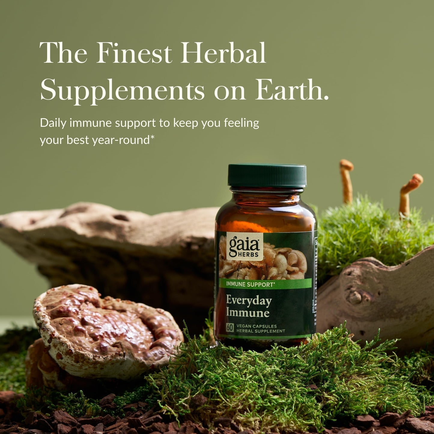 Gaia Herbs Everyday Immune Mushrooms & Herbs — Immune Support (60 Vegan Capsules)