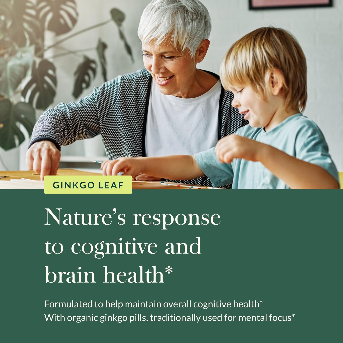Gaia Herbs Ginkgo Leaf | Brain Health & Circulation | 60 Vegan Liquid Phyto-Capsules