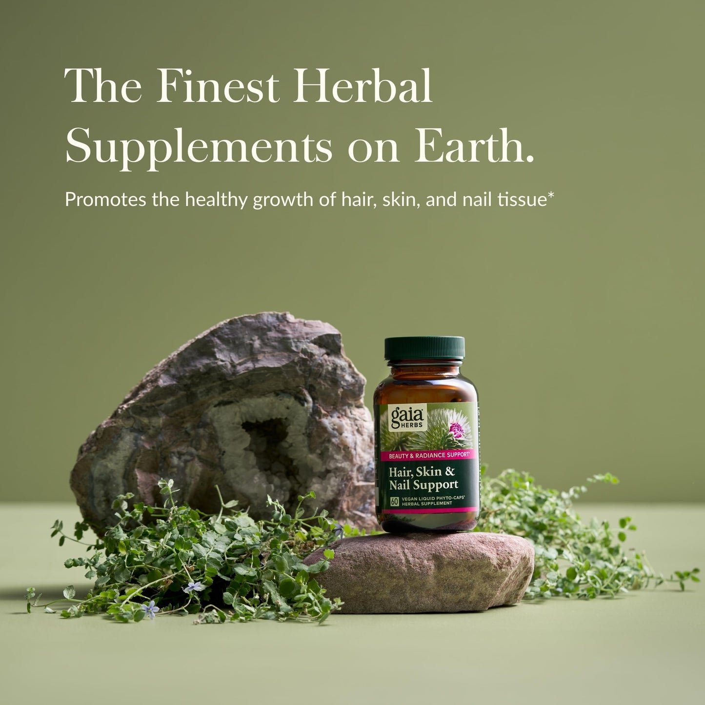 Gaia Herbs Hair, Skin & Nail Support – 60 Vegan Liquid Phyto-Capsules