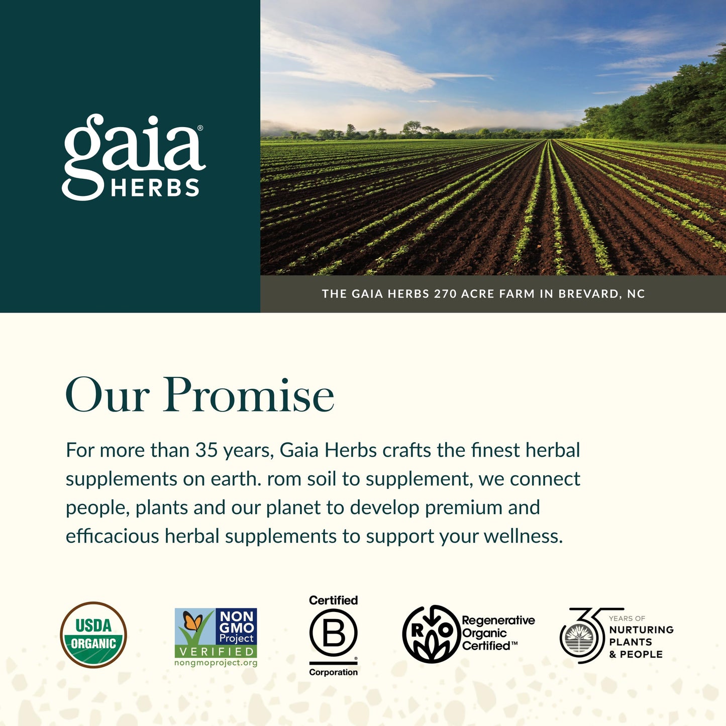 Gaia Herbs Black Elderberry Gummies Extra Strength – Immune Support (40 Gummies)