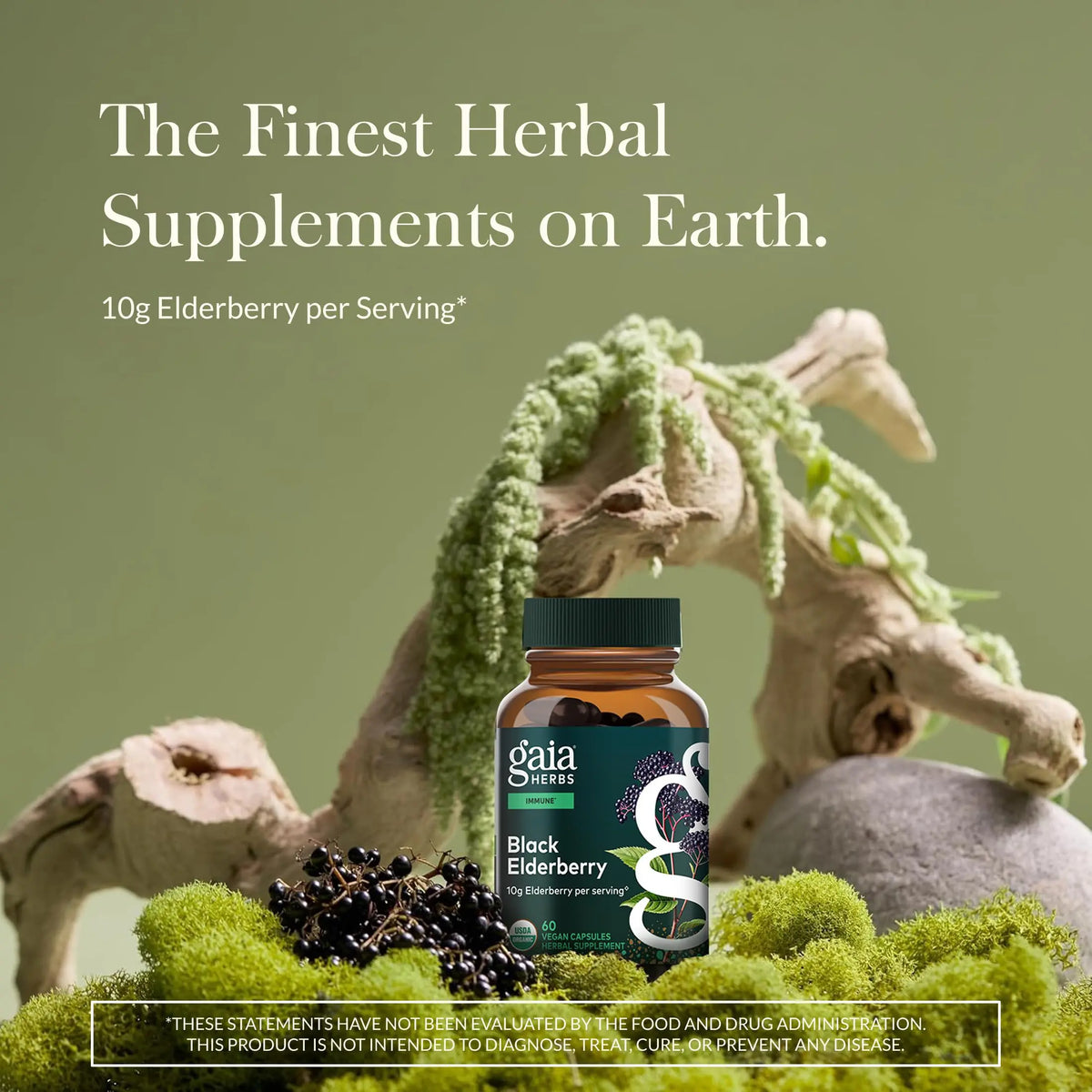 Gaia Herbs Black Elderberry – Daily Immune Support Capsules with Acerola (120 Vegan Capsules, 60 Servings) BritishVita | Premium UK Vitamins & Wellness Supplements